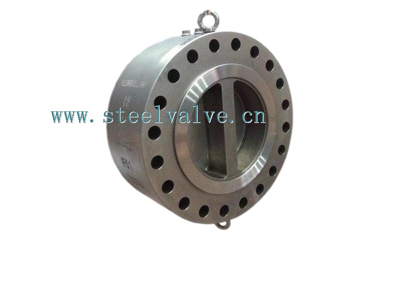 Forged Lug Type Dual Plate Swing Check Valve