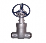 Cast Steel Pressure Seal Gate Valve