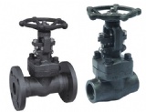 Forge Steel Bolted Bonnet Gate Valve