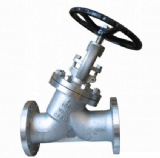 Y-Type Bolted Bonnet Globe Valve