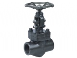 Forged Steel Bolted Bonnet Globe Valve