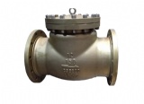 Cl 150, 300, 600 Lb Cast Steel Swing Check Valves