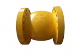 Nozzle Check Valve / Non-Slam Check Valve