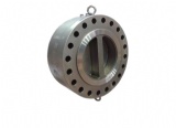 Forged Lug Type Dual Plate Swing Check Valve