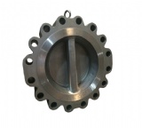 Lug Type Dual Plate Swing Check Valve