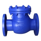 DIN Bolted Bonnet Swing Check Valves